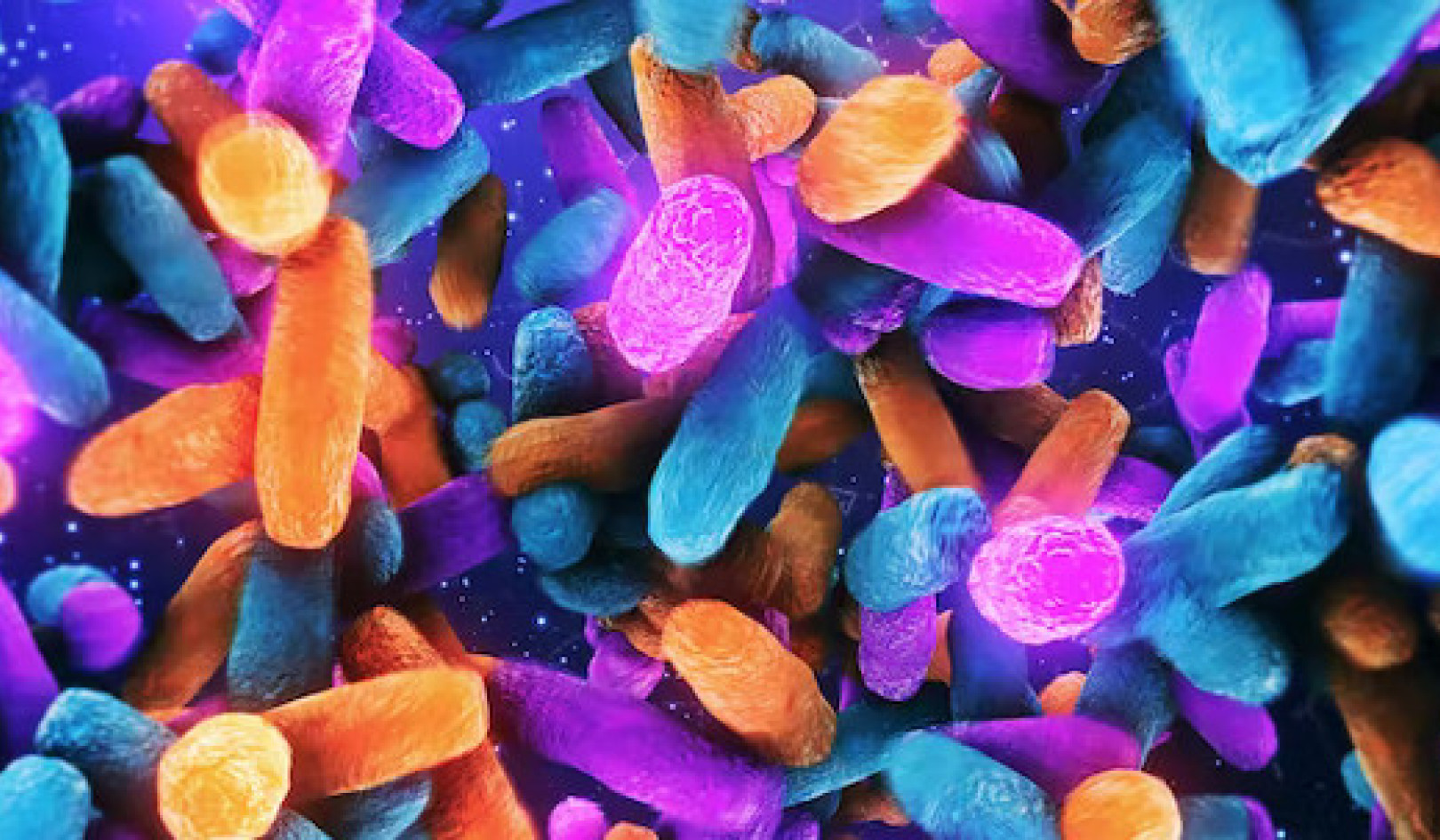 Like Genes, Your Gut Microbes Pass from One Generation to the Next